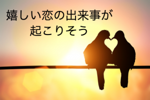 犬のうんちの夢